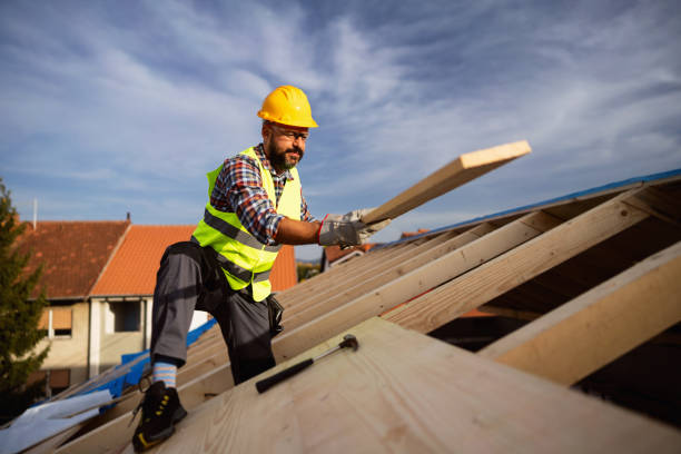 Steel Roofing in Lewiston, MN